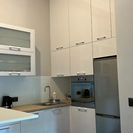 Apartament W Centrum Miasta Slaska 46 Appartamento