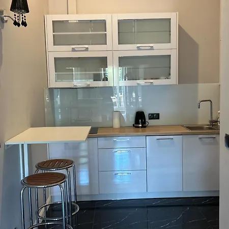 Apartament W Centrum Miasta Slaska 46 Stettino