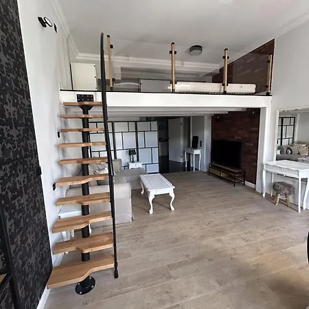 Appartamento Apartament W Centrum Miasta Slaska 46 *
