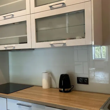 Apartament W Centrum Miasta Slaska 46