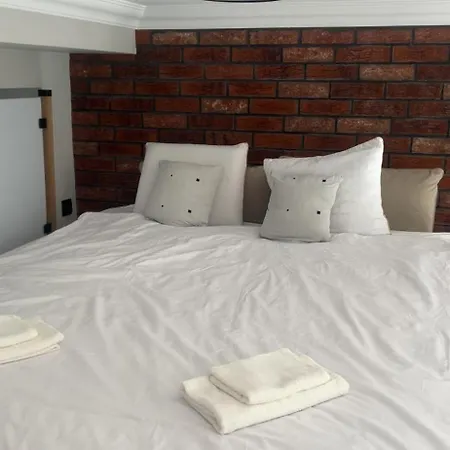 Apartament W Centrum Miasta Slaska 46 Appartamento *